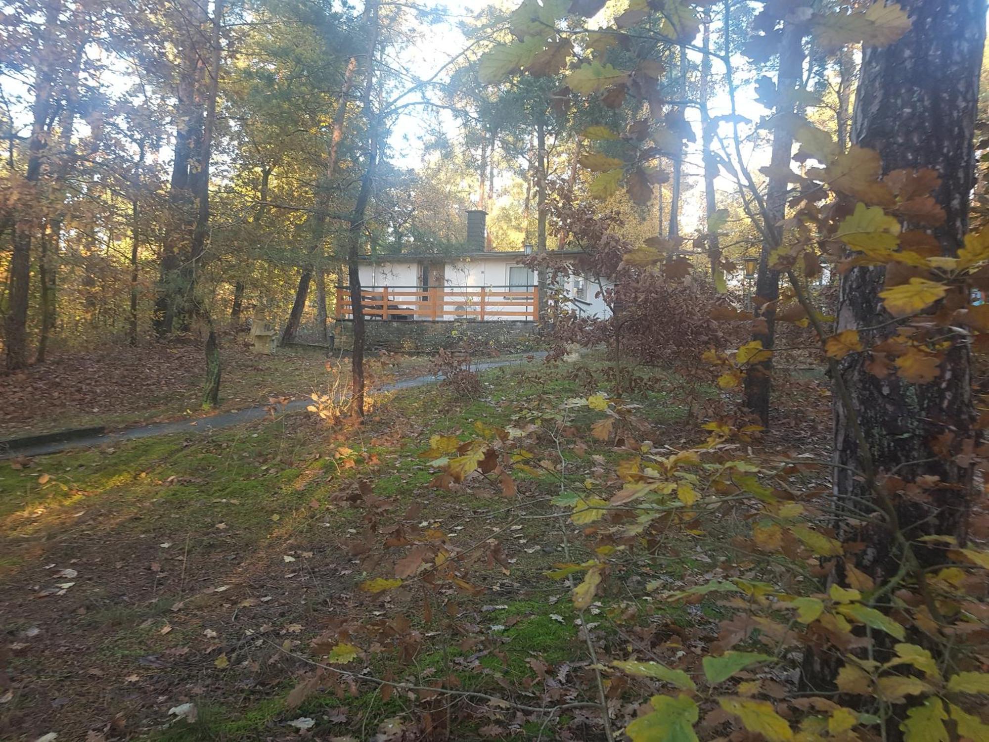 Hausmeise Heidesee Luaran gambar